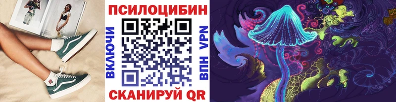 Псилоцибиновые грибы Psilocybe  Советская Гавань 